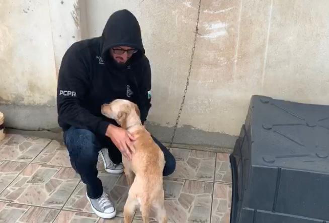 Homem é preso acusado de maus tratos e três animais são resgatados