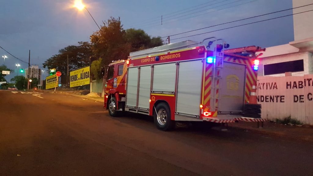 Ouriço é capturado em imóvel na Rua Nereu Ramos