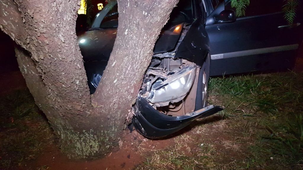 Megane tem problema mecânico e bate em árvore no Pioneiros Catarinenses