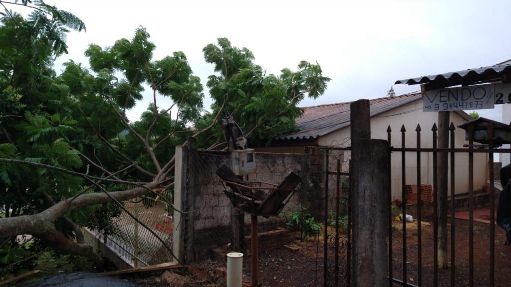 Galho de árvore cai e derruba poste no Bairro Brasmadeira