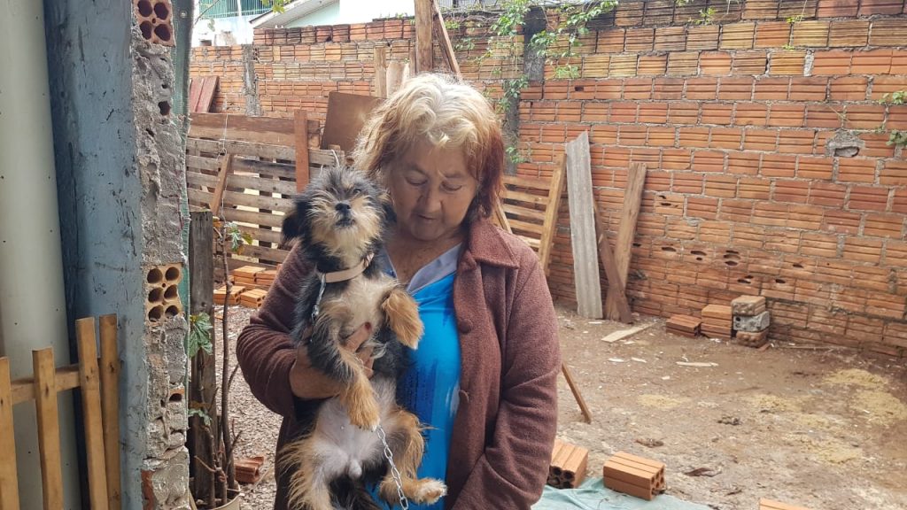 Moradora do Cascavel Velho que cuida de 27 animais está precisando de ajuda Moradora do Cascavel Velho que cuida de 27 animais está precisando de ajuda