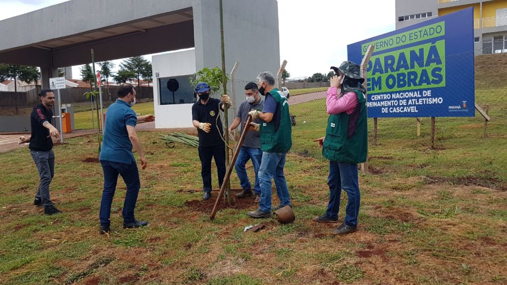 Mudas de Ipês são plantadas na região Oeste de Cascavel