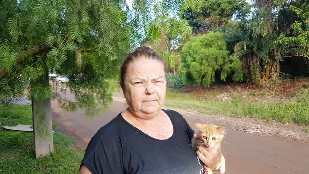 Descarte de entulhos e de animais mortos em terreno gera reclamação de moradora do Quebec
