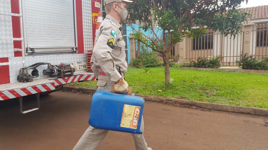 Captura de cobra mobiliza Bombeiros ao Santo Onofre