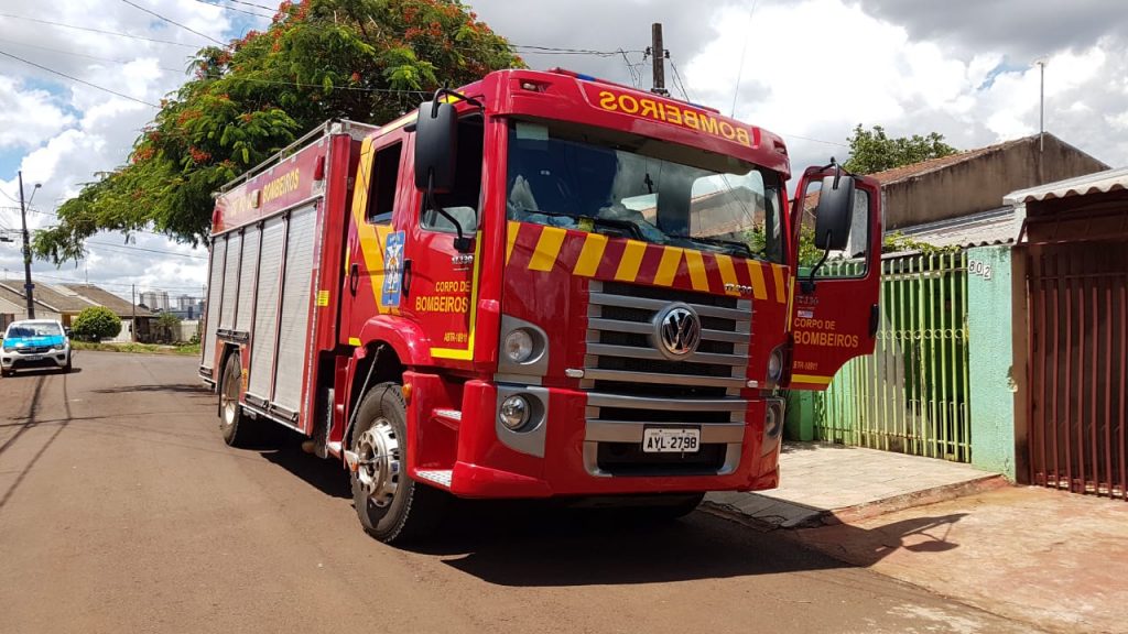 Bombeiros são acionados para capturar cobra no Pioneiros Catarinenses