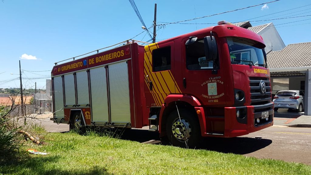 Corpo de Bombeiros é acionado para captura de cobra