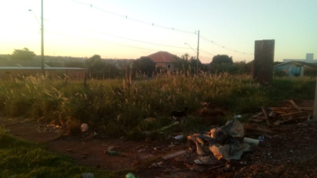 Terreno com mato e entulhos gera reclamação no Bairro Interlagos