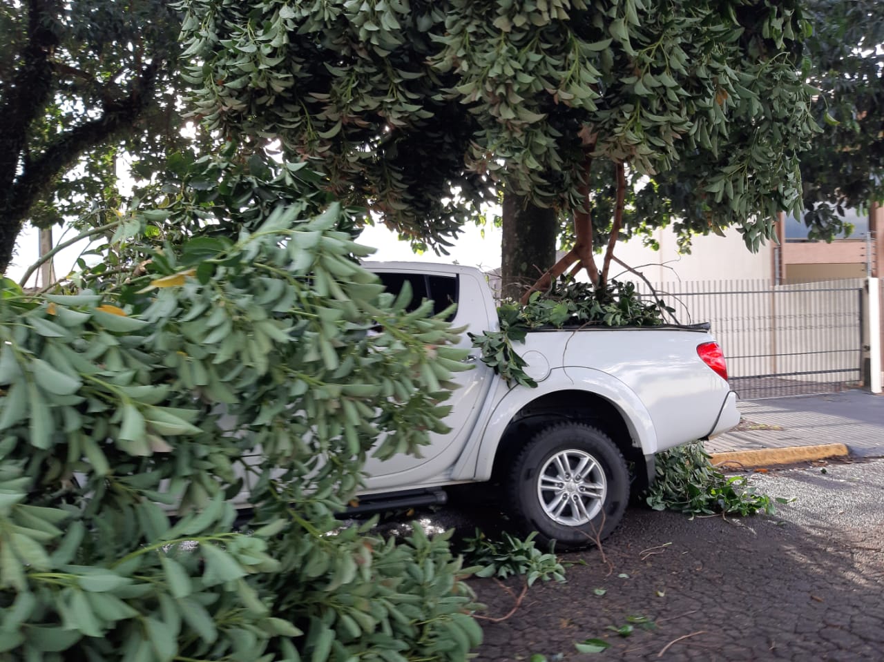 Vários prejuízos são registrados após temporal no Parque São Paulo