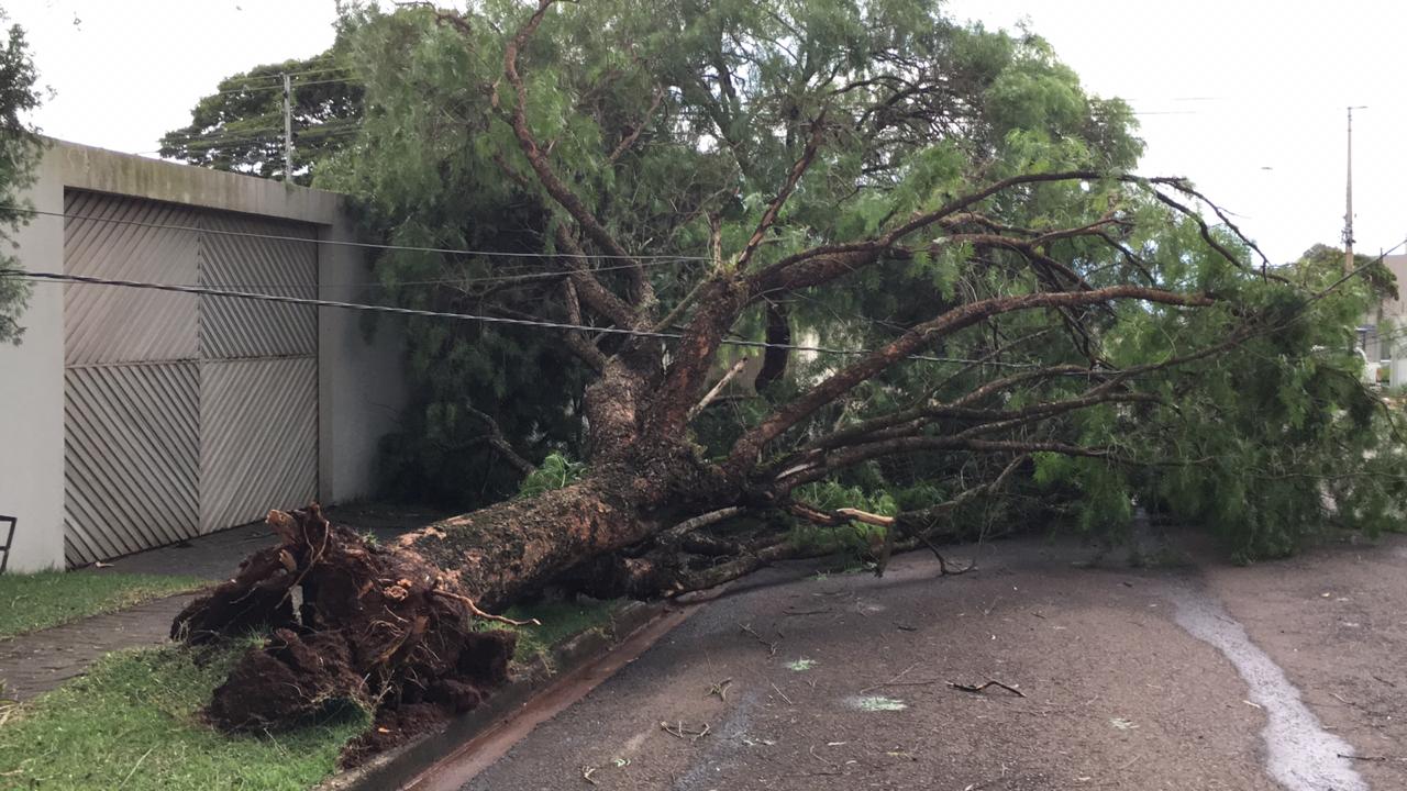 Imagens mostram danos causados por temporal em Cascavel