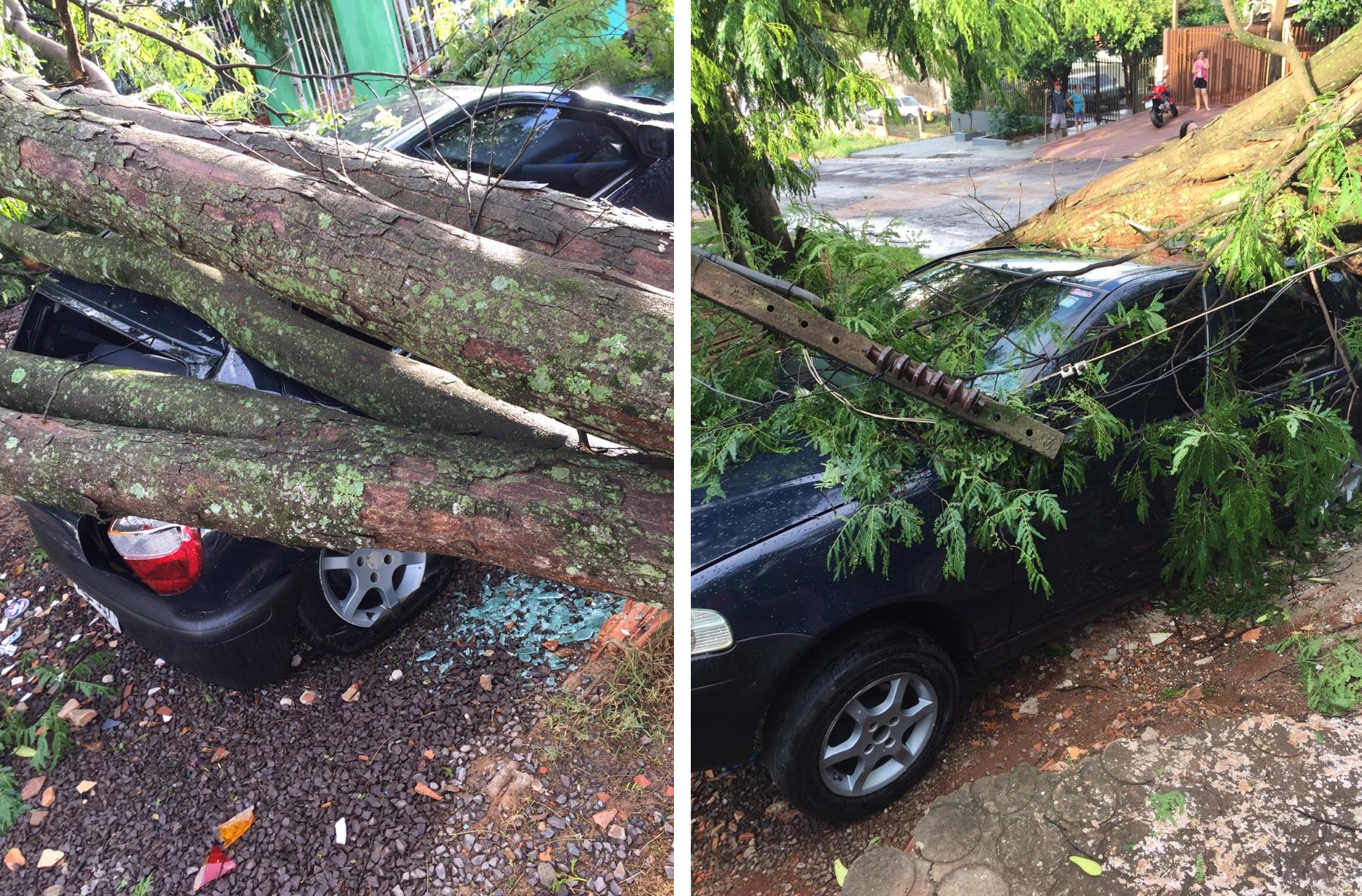 Veículo fica completamente destruído após ser atingido por árvore