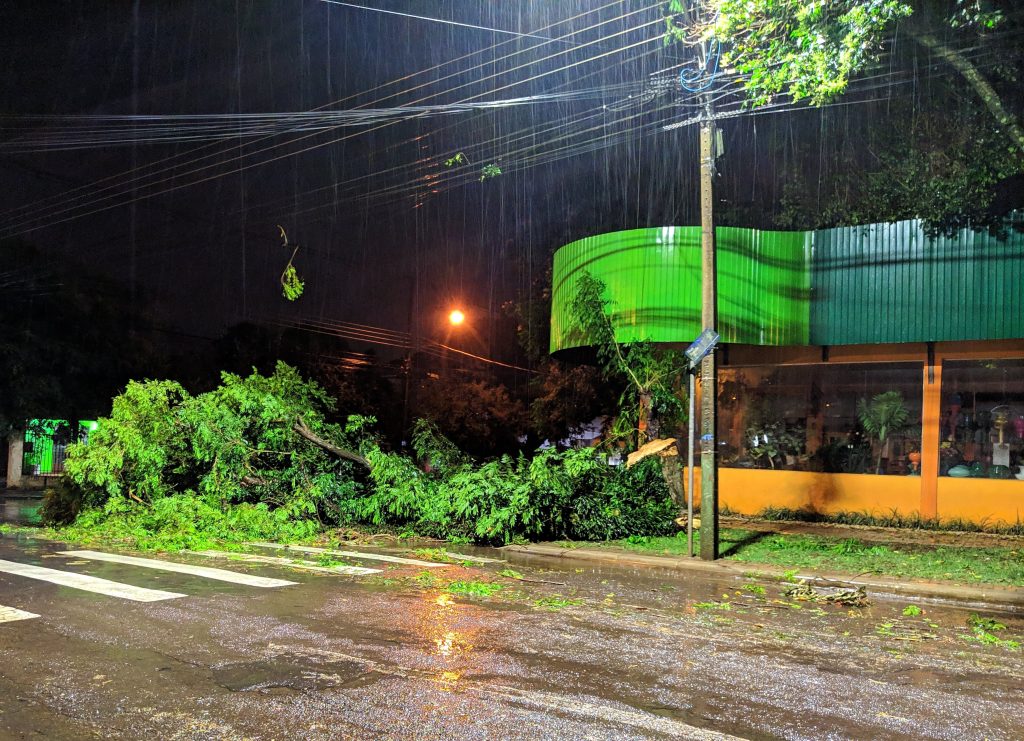 Corte de árvores e recuperação dos estragos causados pelo temporal continuam nesta segunda