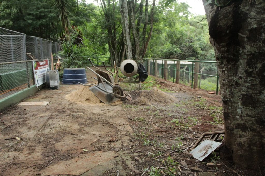 Zoológico está temporariamente fechado para manutenção em recintos