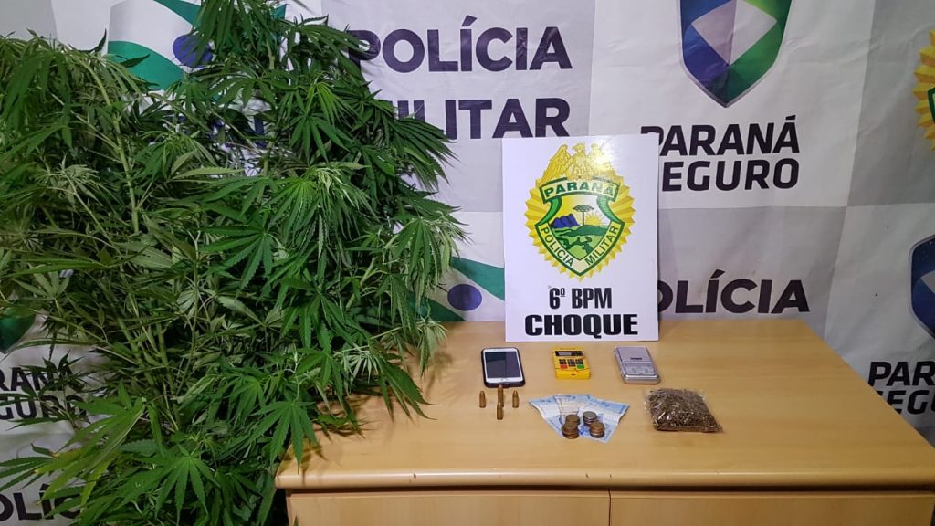 Dupla é detida pelo Choque com pé de maconha e munições no Bairro Florais do Paraná