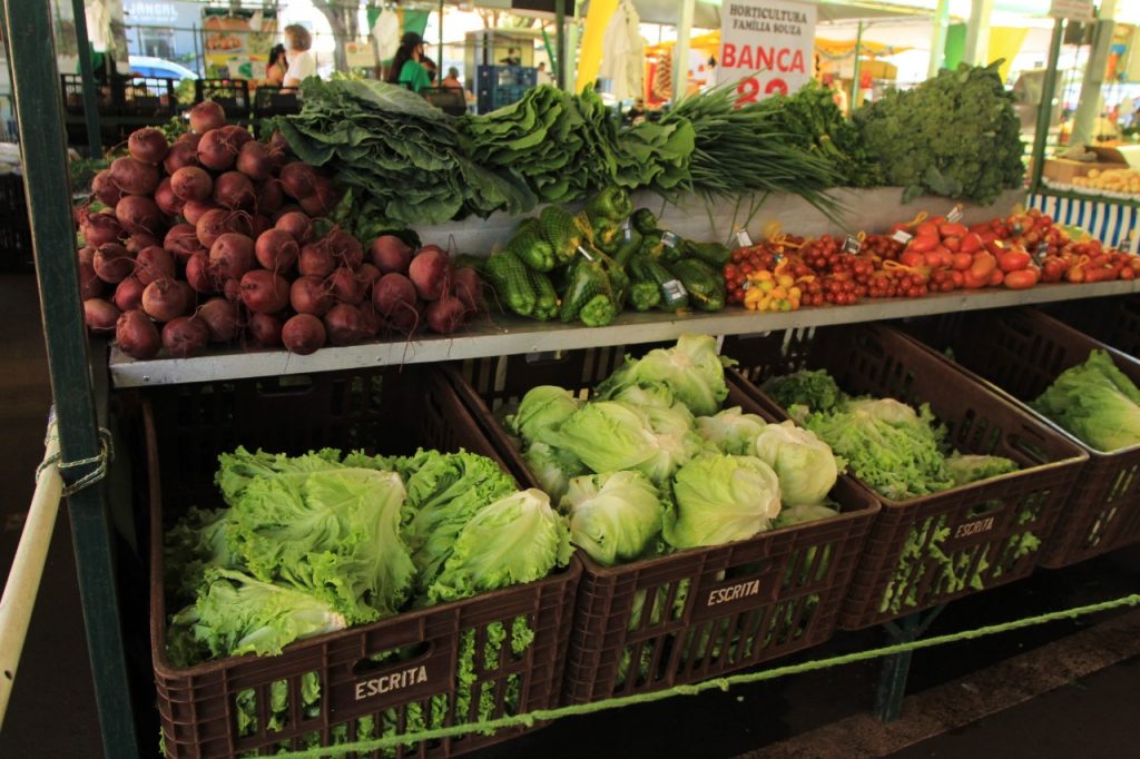 Passa em 1ª votação a abertura de novos atacados de hortifrútis em Cascavel