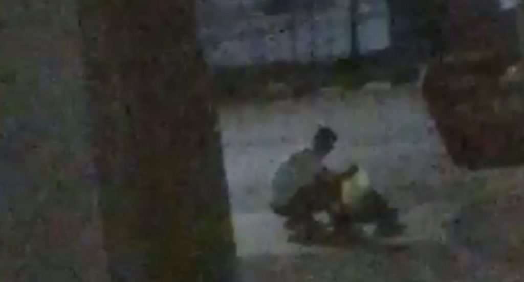 Vídeo mostra suspeito de furto colocando cigarros em saco plástico após o crime