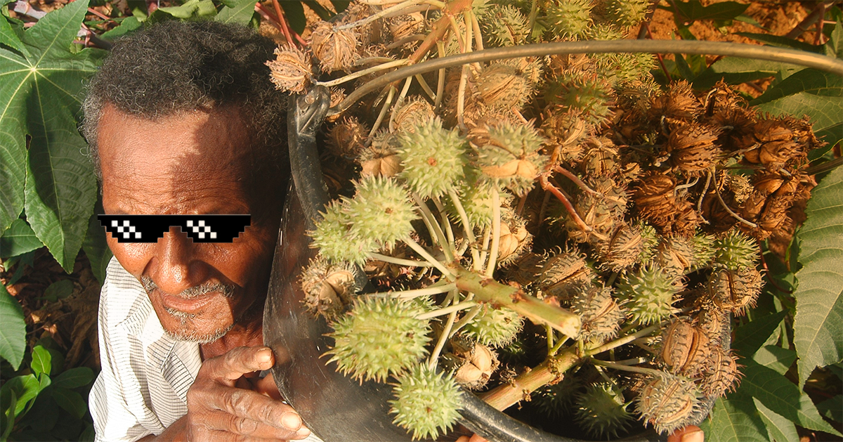 Previsão do tempo: Sabadou sem chuva e com calor de rachar mamona
