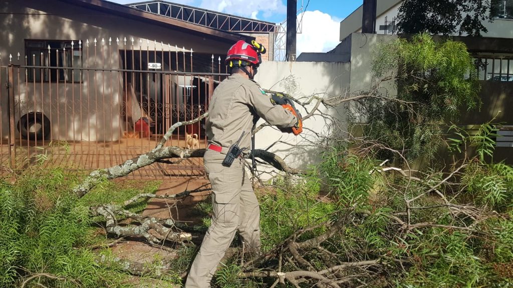 Derrubada por caminhão, parte de árvore obstrui entrada e saída de casa na Rua Acelino de Almeida, no Cataratas