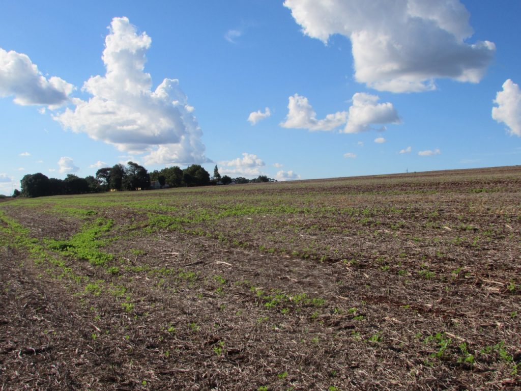 Sindicato é contra venda de terra a estrangeiros