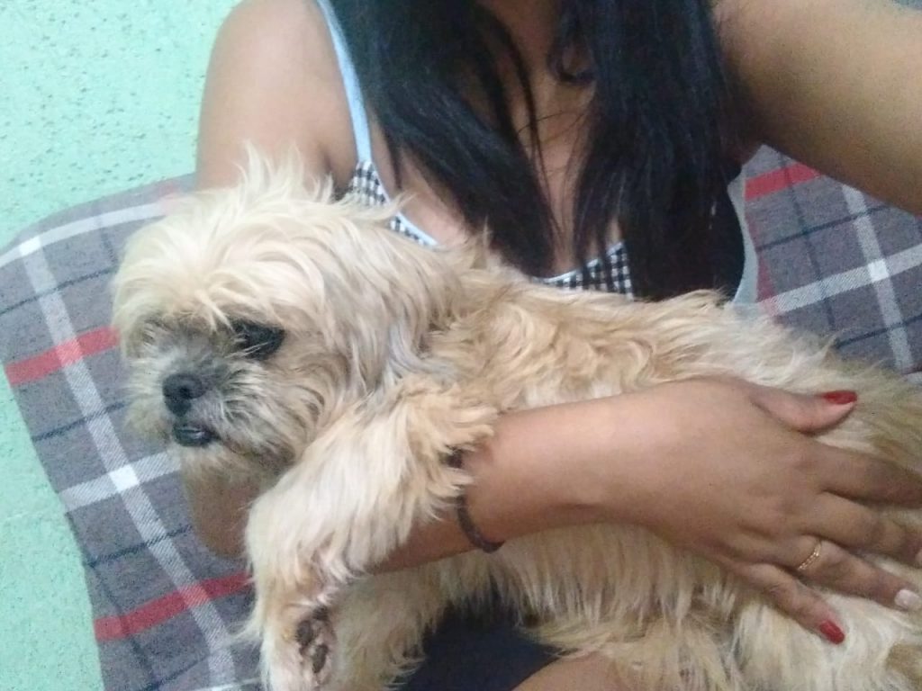 Cachorrinha é encontrada no Santa Cruz