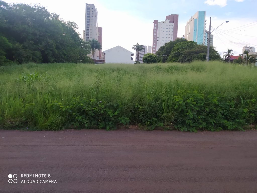 Mato alto na Rua Londrina é alvo de reclamação de morador
