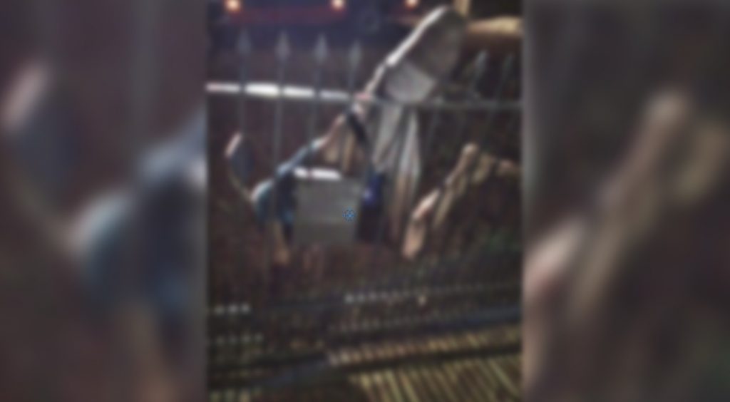 Homem tenta assalto em casa de idosa e acaba “empalado” no portão, em Céu Azul