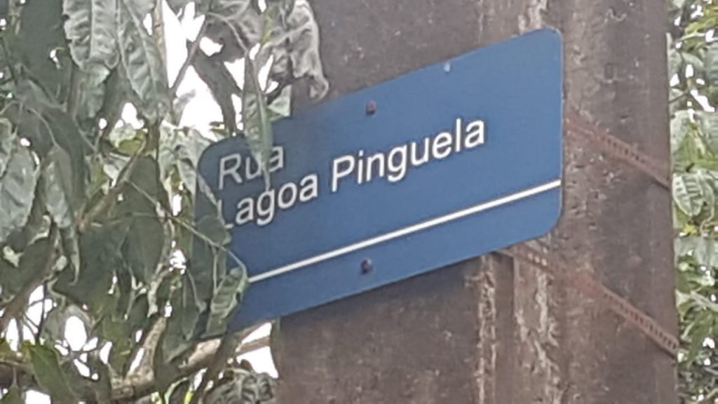 Suposta colisão de trânsito mobiliza Siate até a Rua Lagoa da Pinguela, no Bairro Lago Azul