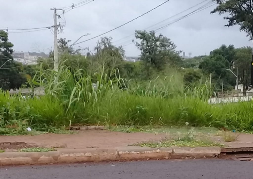Mato alto também é alvo de reclamação de moradora do Bairro Alto Alegre