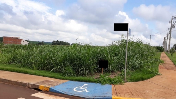 Departamento de Ação Ambiental alerta para limpeza de terrenos baldios em Quatro Pontes