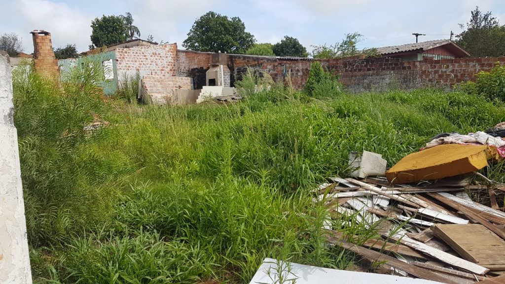 São Cristóvão: Terreno com mato alto na Rua Castro irrita moradores vizinhos São Cristóvão: Terreno com mato alto na Rua Castro irrita moradores vizinhos