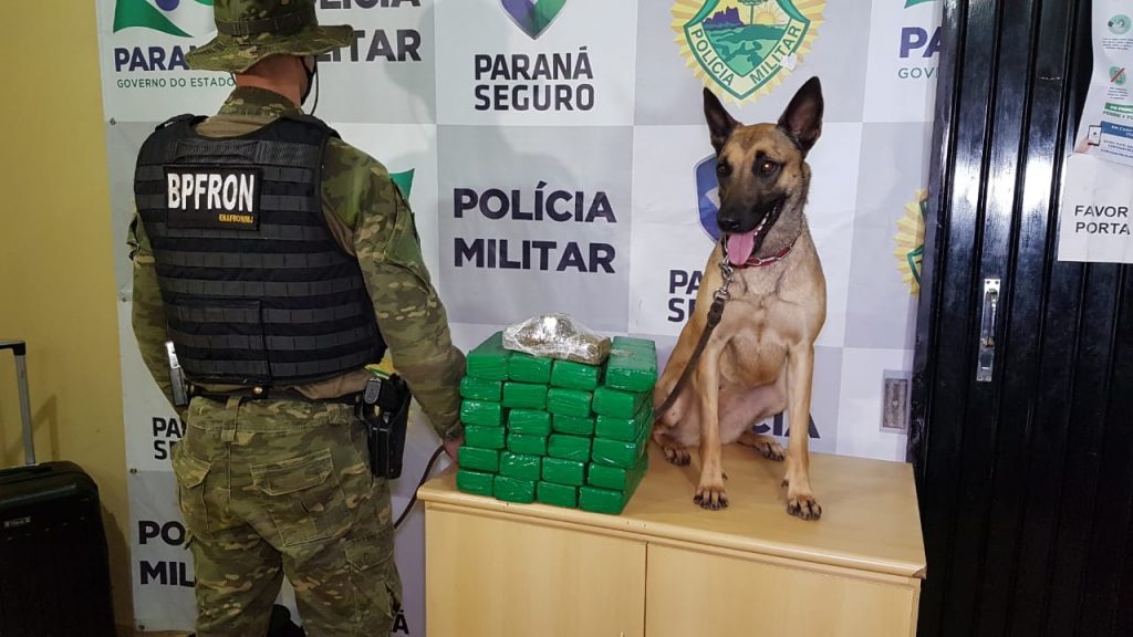 Equipe de Operações com Cães do BPFron realiza apreensão de maconha durante abordagem na BR-163