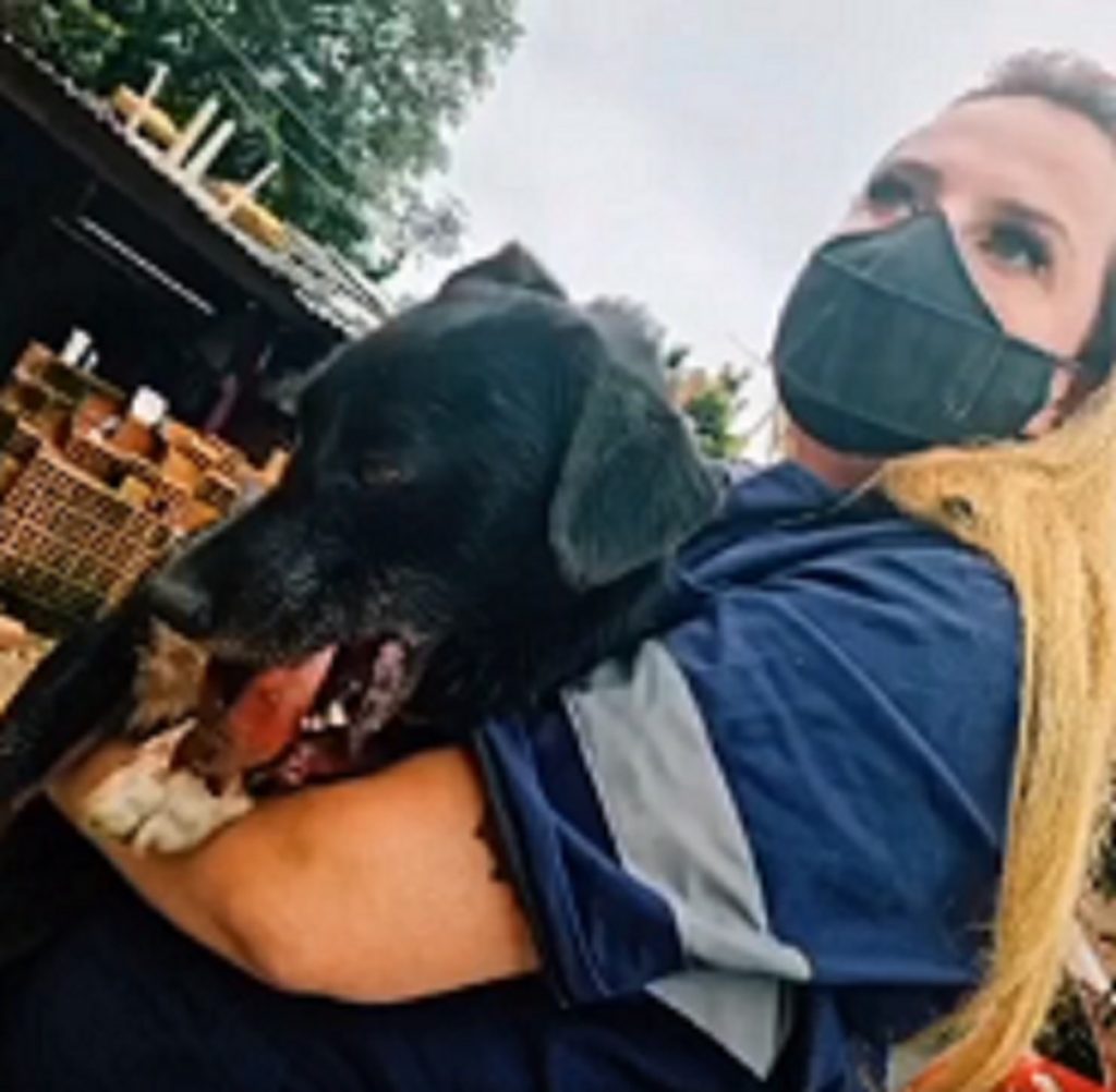 Morre Rebeca, o cão que teve a boca destruída por um explosivo na virada do ano