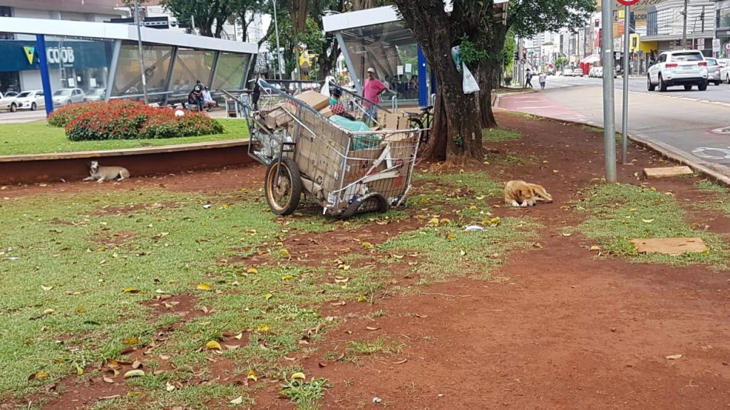 Cachorro ataca o próprio dono na Av. Brasil; a vítima foi atendida e recusou encaminhamento hospitalar