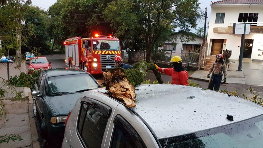 Galho de árvore cai e atinge dois carros que estavam estacionados na Rua Souza Naves, no Centro