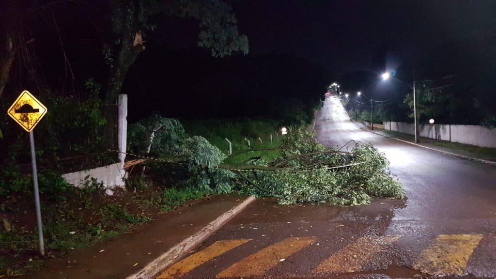 Árvore cai e bloqueia parte da Rua Machado de Assis, na Área Militar