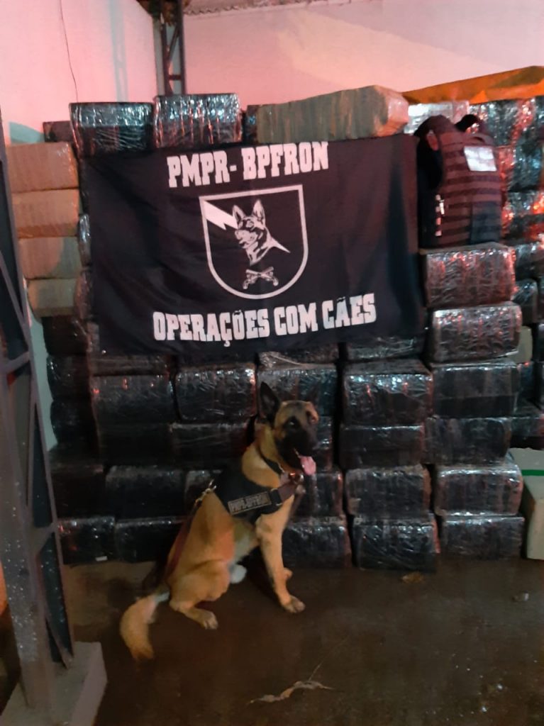 BPFron apreende 12,7 toneladas de maconha, caminhão e acessórios de armas de fogo em Toledo; cinco foram presos