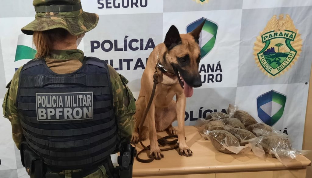 Passageiro de ônibus é flagrado pelo BPFron transportando maconha, em Cascavel