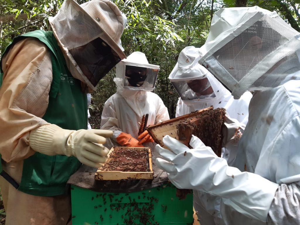 Curso de apicultura é o primeiro de 2021 na Agrotec