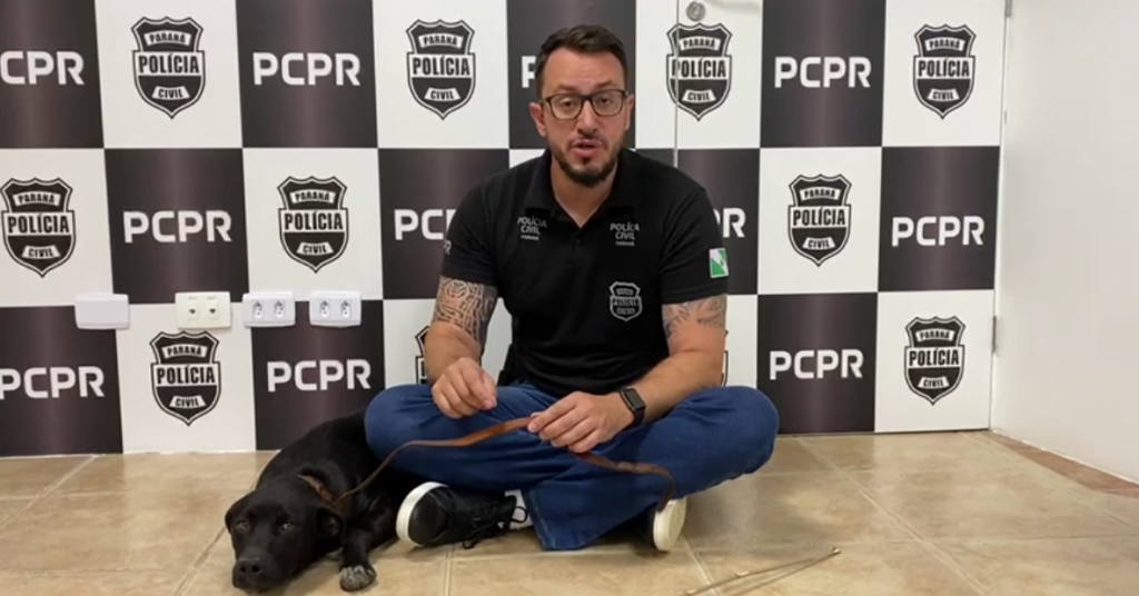 Maus tratos: cachorro que havia sido arrastado em rua de Colombo é resgatado pela Delegacia de Meio Ambiente