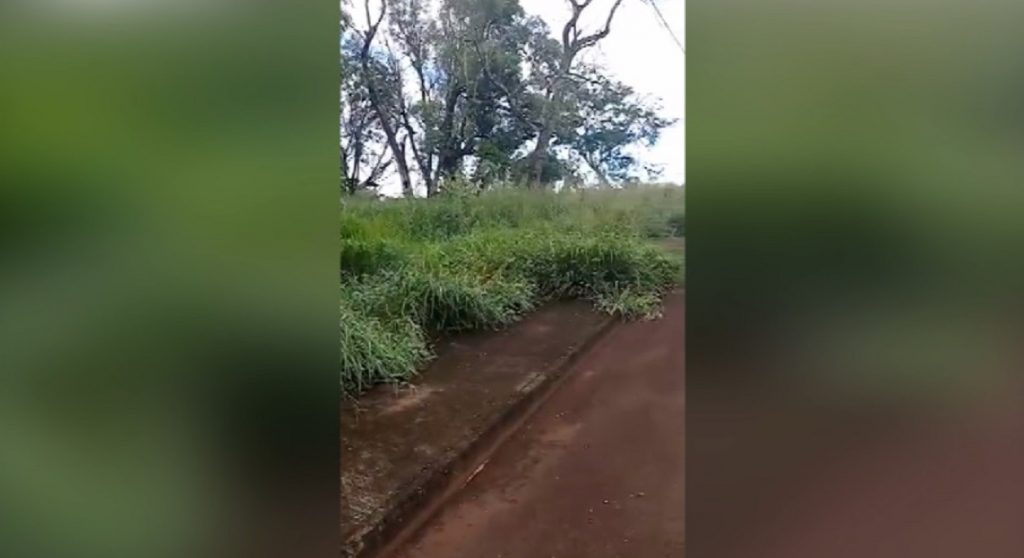 Morador reclama de vegetação alta no Jardim Veredas