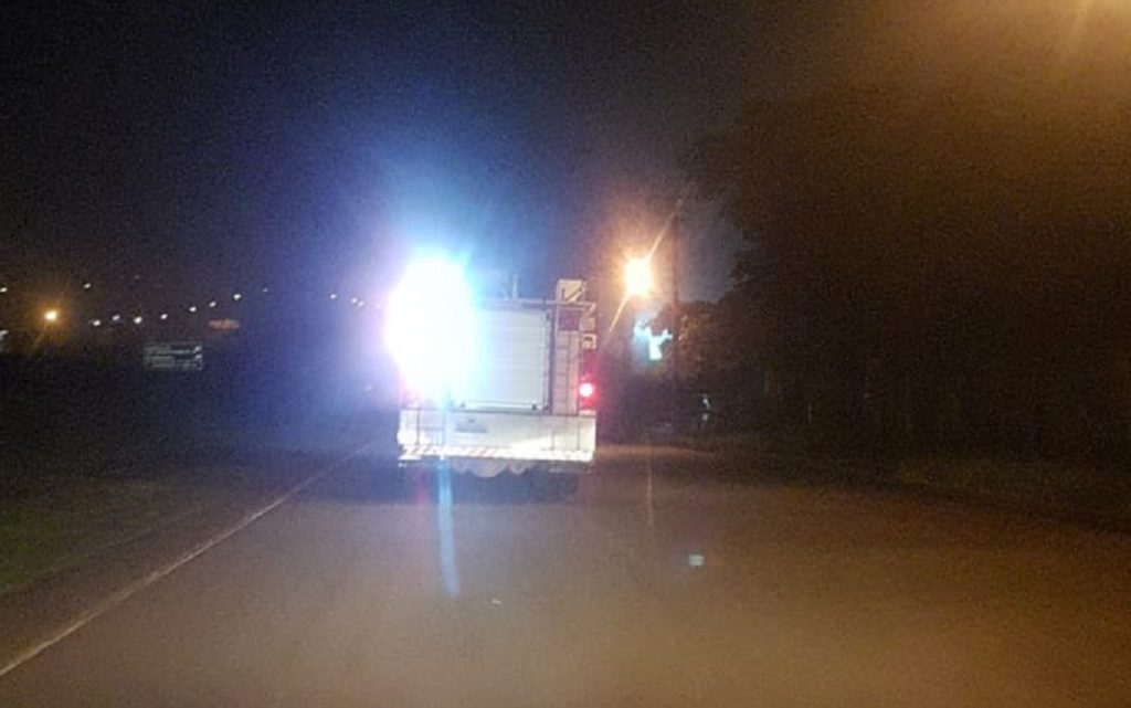 Corpo de Bombeiros resgata cão que estava preso em uma grade