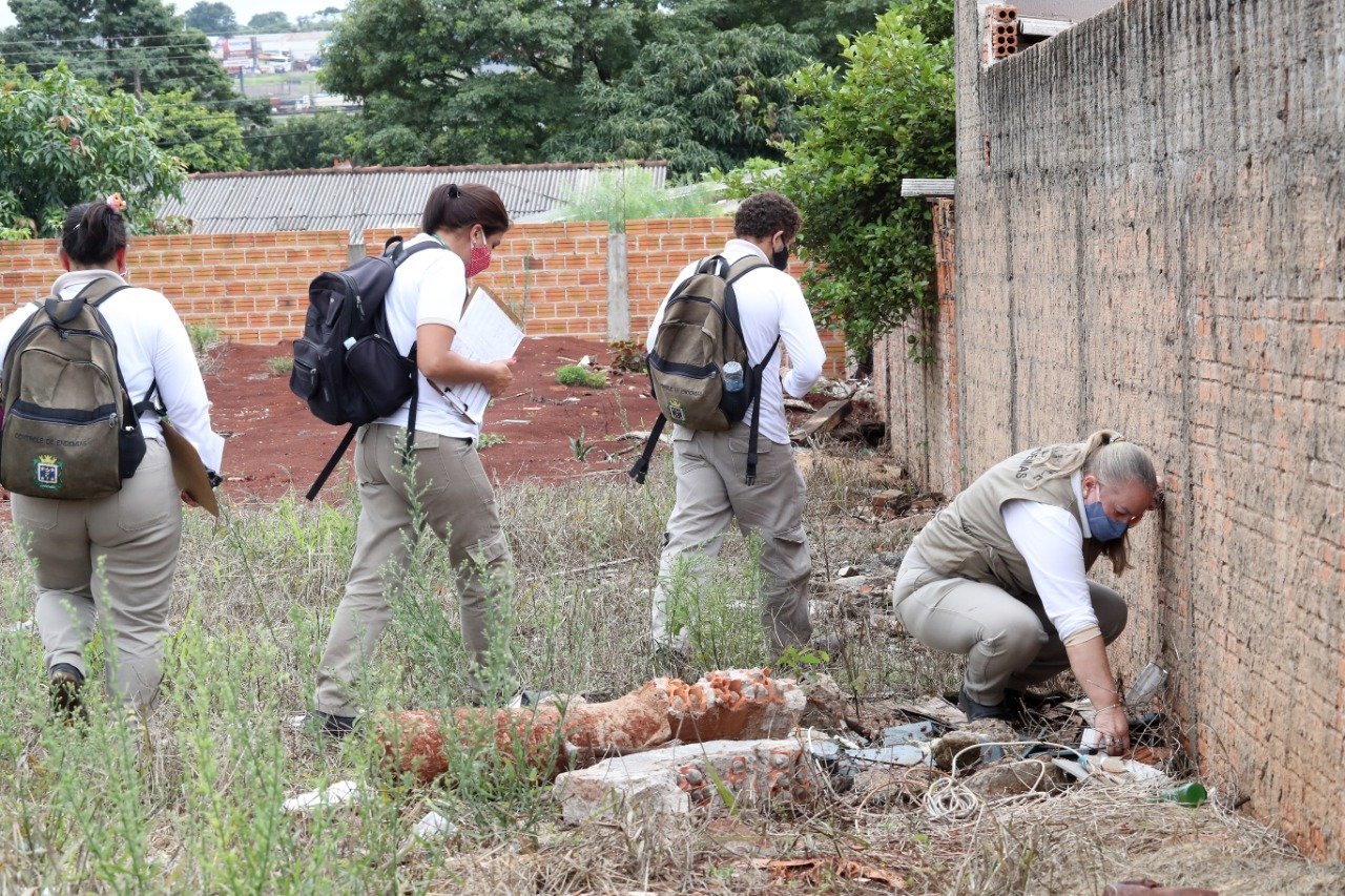 Cascavel Confirma Mais Um Caso De Dengue E Prepara Ações Para Combater Proliferação Cgn O 