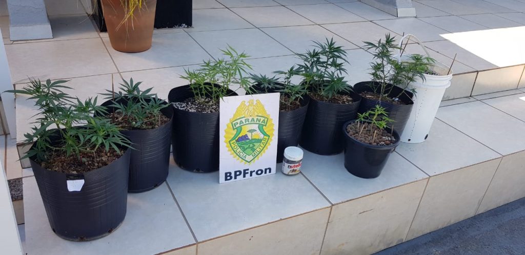 BPFron cumpre mandado de busca e apreensão durante Operação Hórus em Francisco Alves