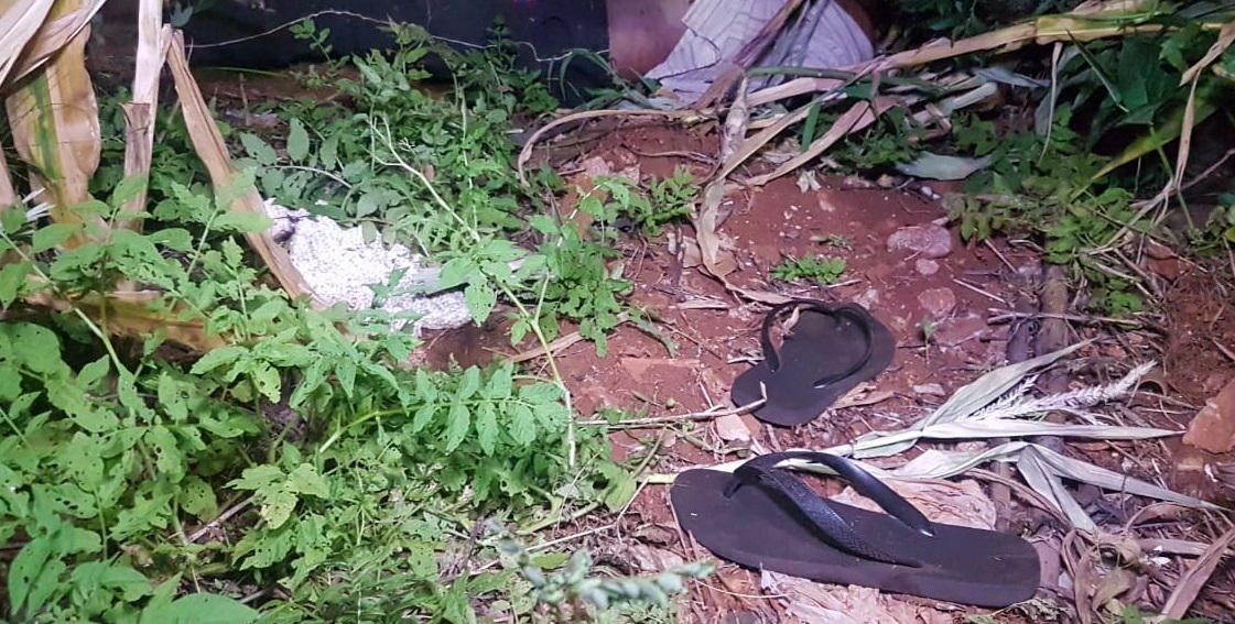Polícia Militar é acionada após achado de cadáver em Santa Tereza do Oeste Imagem referente a Polícia Militar é acionada após achado de cadáver em Santa Tereza do Oeste