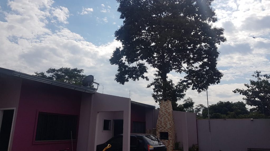 Família teme queda de árvore em residência no Bairro Periolo