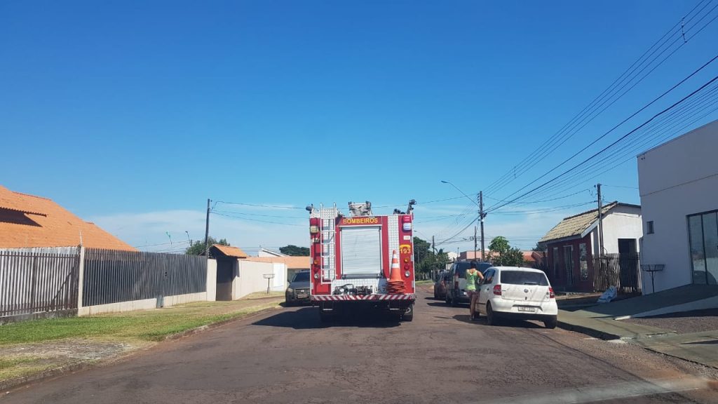Cobra é capturada pelos Bombeiros em condomínio no Bairro Alto Alegre