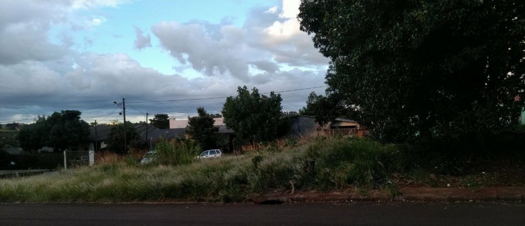 Lote com mato alto gera reclamação de internauta no Cascavel Velho