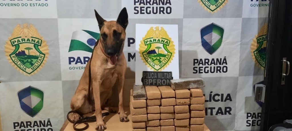 BPFron apreende drogas em ônibus durante Operação Hórus em Cascavel; Vídeo registra ação policial