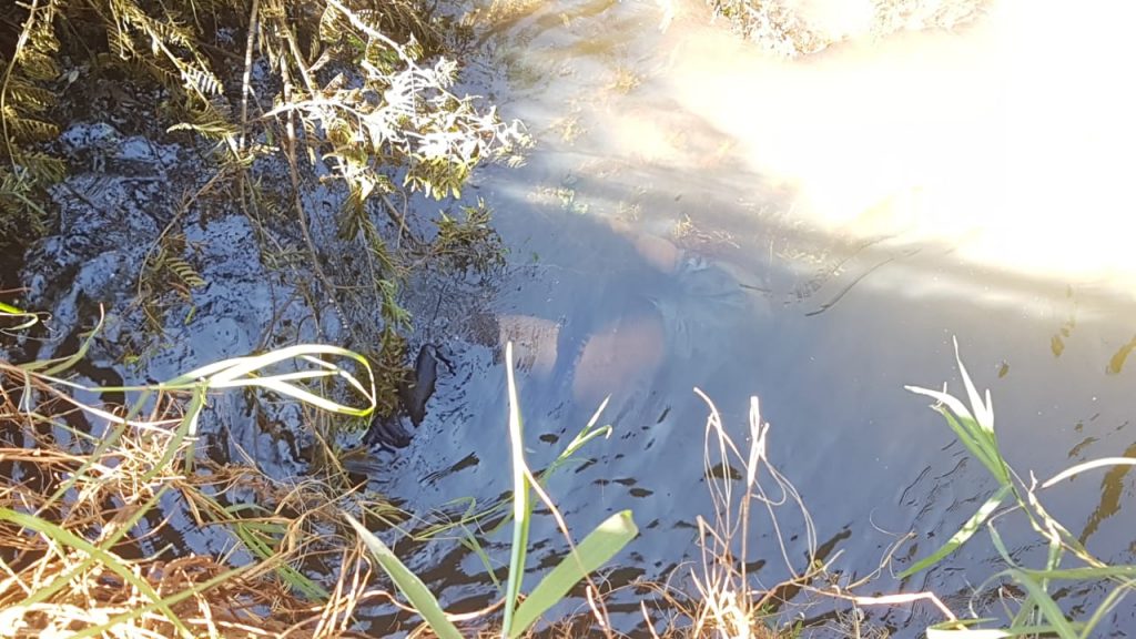 Homem é encontrado morto dentro de rio na Estrada Rio da Paz Homem é encontrado morto dentro de rio na Estrada Rio da Paz