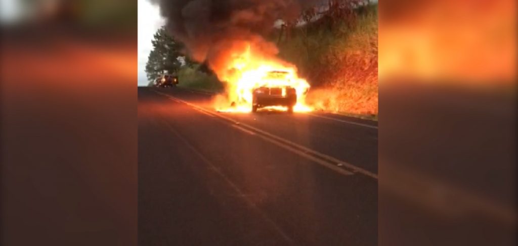 Vídeo mostra Honda Civic sendo tomado pelo fogo após acidente na PR-486, em Cascavel