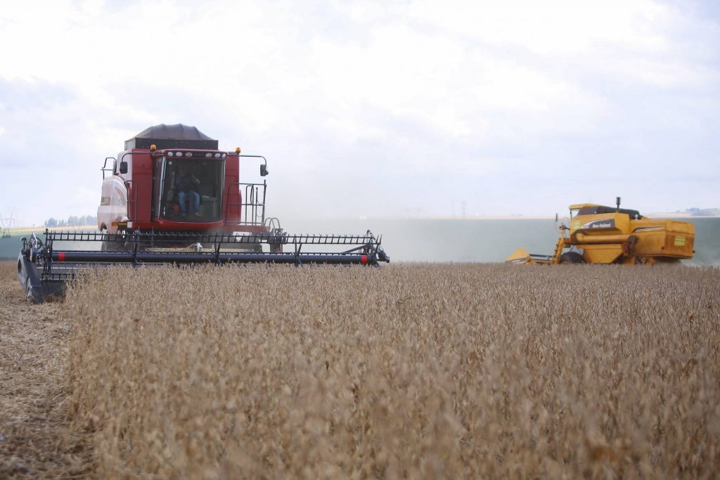 Paraná poderá produzir 42 milhões de toneladas de grãos